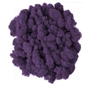 Фиолетовый мох фото